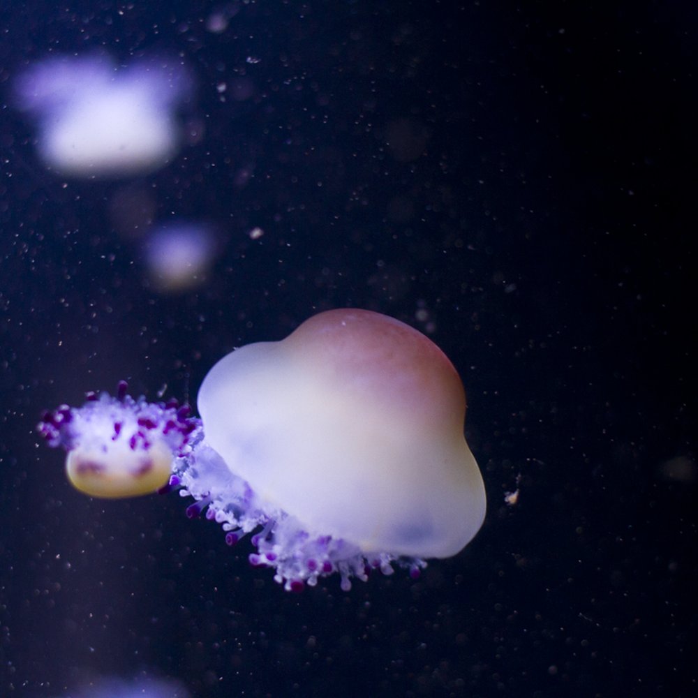 Aquarium Berlin - Aquariums Near Me - Berlin, BE Aquarium Berlin - Aquariums Near Me - Berlin, BE