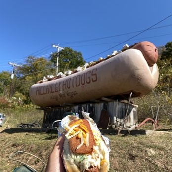 Hillbilly Hot Dogs - Strictly Business Dog - Burgers Near Me - Lesage, West Virginia