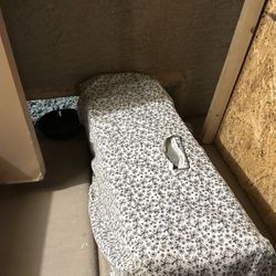 Black Magic Animal Rescue - Trap loaned by Black Magic Animal Rescue.