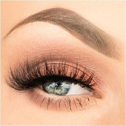 Debra's Electrolysis Studio - ART OF EYELASHES Eyelash Extensions Certification for Licsensed Professionals