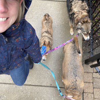 Walk the Dog - Loose leash walking- a little rain won't stop us! - Pet Training Near Me