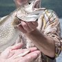 Photo of Justy-Joe Charters