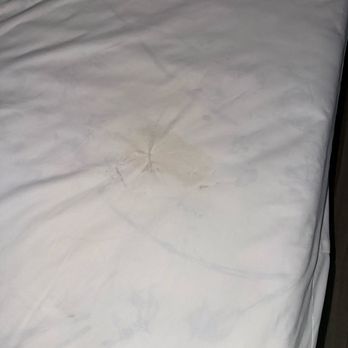 Kompose Hotel - This stain was still wet when I opened sofa bed - Hotels Near Me - Kissimmee, Florida Kompose Hotel - This stain was still wet when I opened sofa bed - Hotels Near Me - Kissimmee, Florida