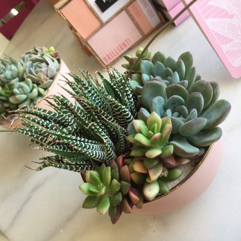 Pigment - One of the Gardens I Considered But I Already Have These Plants In Another. Love the pink container! - Sooo Pretty! - Home Decor Near Me - San Diego, California