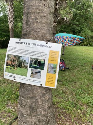 UCF Arboretum by null