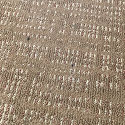 Super 8 by Wyndham Monticello - Carpets are dirty