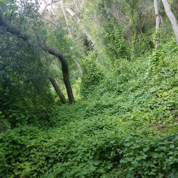 Murphy Ranch Trail - Hiking Near Me