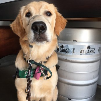 At Large Brewing - Breweries Near Me - Everett, Washington At Large Brewing - Breweries Near Me - Everett, Washington