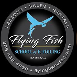 Flying Fish School of Efoiling - Flying fish