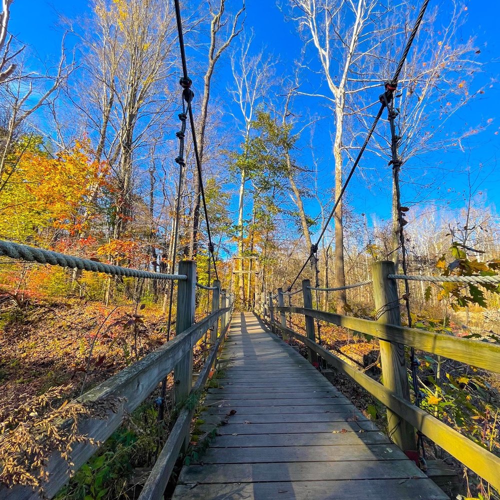 A Bridge