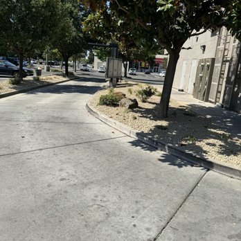 Martinez Landscape - After - Landscaping Near Me