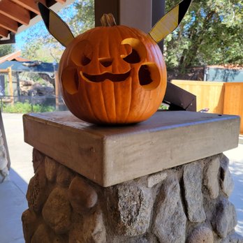 Orange County Zoo - pikachu pumpkin - Zoos Near Me - Orange, California Orange County Zoo - pikachu pumpkin - Zoos Near Me - Orange, California