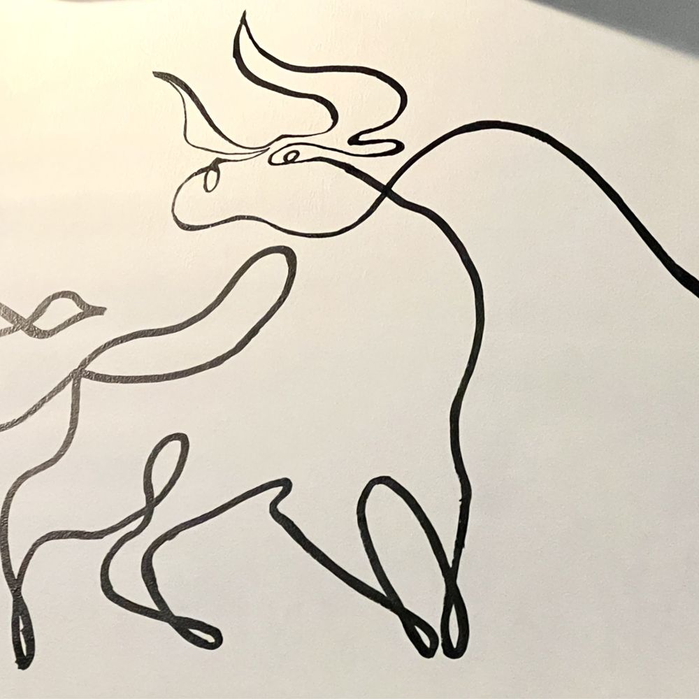 Bitelo Brazilian Steakhouse - Beautiful line drawings on walls. This one is like 4'x6' - Steakhouses Near Me - Cedar Park, Texas