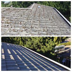 Property Washers - Property Washers roof washing experts.