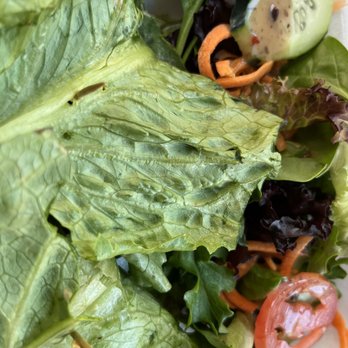 Green Leafs Juice Bar - Juice Bars & Smoothies Near Me - Sunnyside, New York