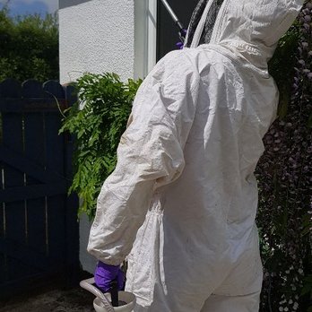 Mole Management Pest Control - Wasp nest treatment under eaves. - Pest Control Near Me - Bolton, XGM Mole Management Pest Control - Wasp nest treatment under eaves. - Pest Control Near Me - Bolton, XGM