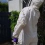Photo of Mole Management Pest Control
