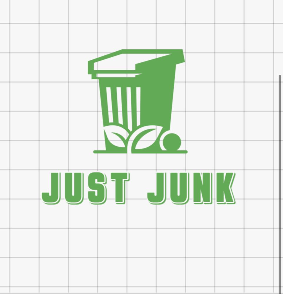Slide of Just Junk