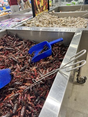 Fiesta Mart #64 by null