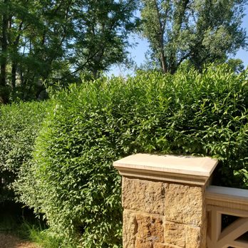Small Thyme Agriculture - Landscaping Near Me - Charleston, South Carolina Small Thyme Agriculture - Landscaping Near Me - Charleston, South Carolina