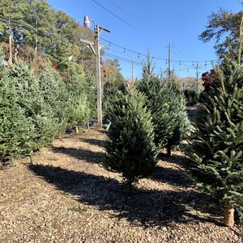 Maple Ridge Nursery - Trees! - Nurseries & Gardening Near Me - Gay, Georgia Maple Ridge Nursery - Trees! - Nurseries & Gardening Near Me - Gay, Georgia