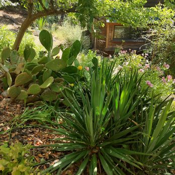 Occidental Arts & Ecology Center - Various plants from different climates still thrive - Community Service/Non-Profit Near Me - Occidental, California