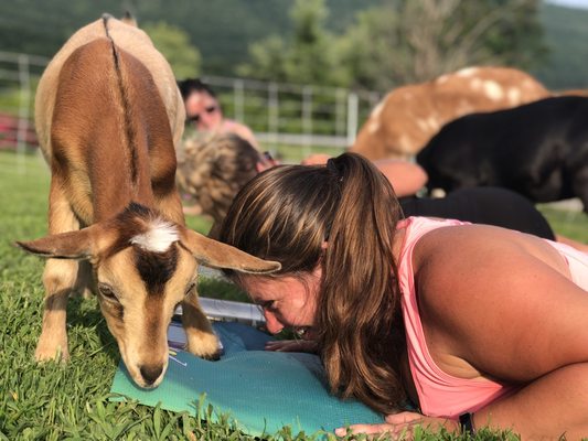 Retreat Farm by null