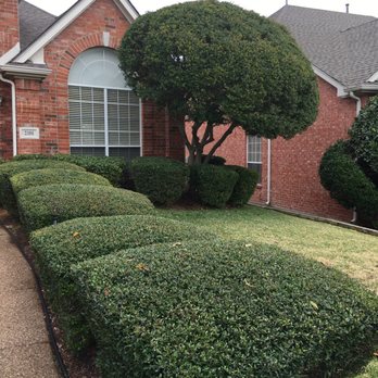 Guerrero Landscape - Fantastic job - Landscaping Near Me - Dallas, Texas Guerrero Landscape - Fantastic job - Landscaping Near Me - Dallas, Texas