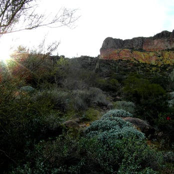 Pass Mountain Loop Trail - Flora - Hiking Near Me - Apache Junction, Arizona