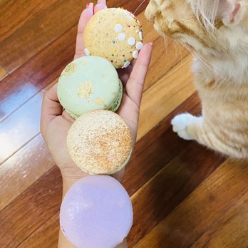 Lady Yum - Latte x macarons!!! - Desserts Near Me - Bellevue, Washington Lady Yum - Latte x macarons!!! - Desserts Near Me - Bellevue, Washington