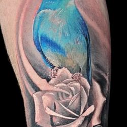 Collins Street Tattoo