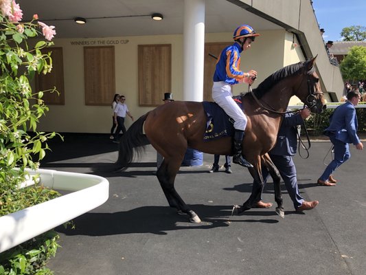 Ascot Racecourse by null