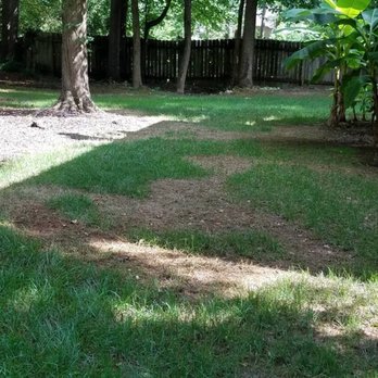 TruGreen Lawn Care - This is my lawn after TruGreen got done with it - Tree Services Near Me - Suwanee, Georgia