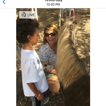 Lil Pease Of Texas - Grooming in session! - Horse Boarding Near Me - Elgin, Texas Lil Pease Of Texas - Grooming in session! - Horse Boarding Near Me - Elgin, Texas