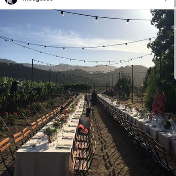 De Tierra Vineyards - Sunset dinner for 175 in the grapes! - Wineries Near Me - Carmel, California