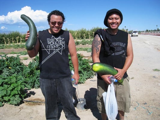 Gilcrease Orchard by null