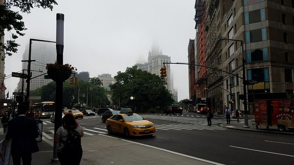City Hall Park Greenmarket by null
