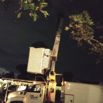3D Tree Services, Inc. - Tree Services Near Me 3D Tree Services, Inc. - Tree Services Near Me