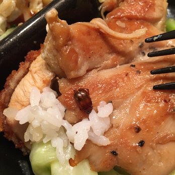 Ono Hawaiian BBQ - Small Roach - Barbeque Near Me - Alhambra, California Ono Hawaiian BBQ - Small Roach - Barbeque Near Me - Alhambra, California