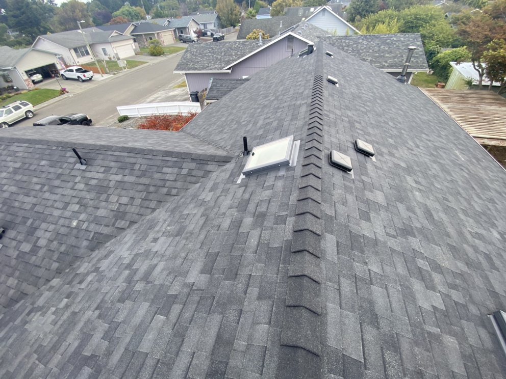 Slide of DM Roofing
