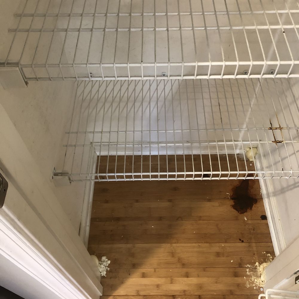 Keller Williams Realty - Dirty stained pantry - Real Estate Agents Near Me - Dover, Delaware Keller Williams Realty - Dirty stained pantry - Real Estate Agents Near Me - Dover, Delaware