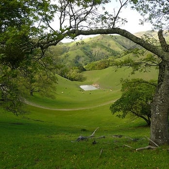 Sunol Regional Wilderness Area - moo ranch - Parks Near Me - Sunol, California Sunol Regional Wilderness Area - moo ranch - Parks Near Me - Sunol, California