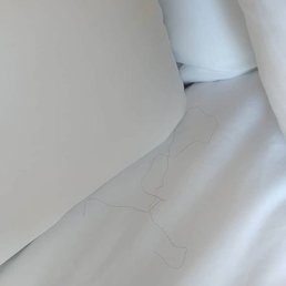 Somebody's been sleeping in my bed! Someone else's hair YUCK.