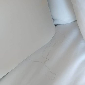 Comfort Inn - Somebody's been sleeping in my bed! Someone else's hair YUCK. - Hotels Near Me - Independence, Ohio