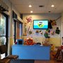 Maria Portilla-Feigenbaum, DDS