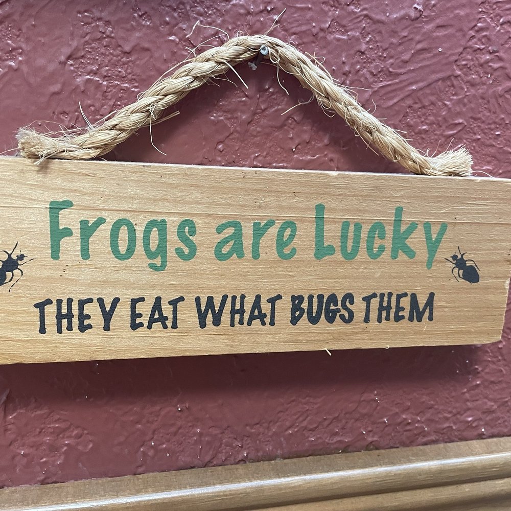The Frog Pond - Breakfast & Brunch Near Me - St Pete Beach, Florida The Frog Pond - Breakfast & Brunch Near Me - St Pete Beach, Florida