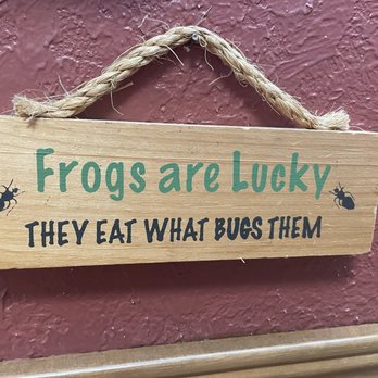 The Frog Pond - Breakfast & Brunch Near Me - St Pete Beach, Florida