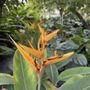 Photo of Margarita's Gardens