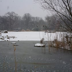 Rosental - Ein Teil des Zooschaufensters im Winter