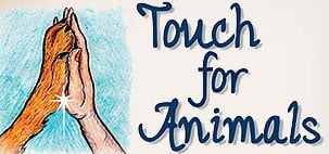 Touch for Animals Image